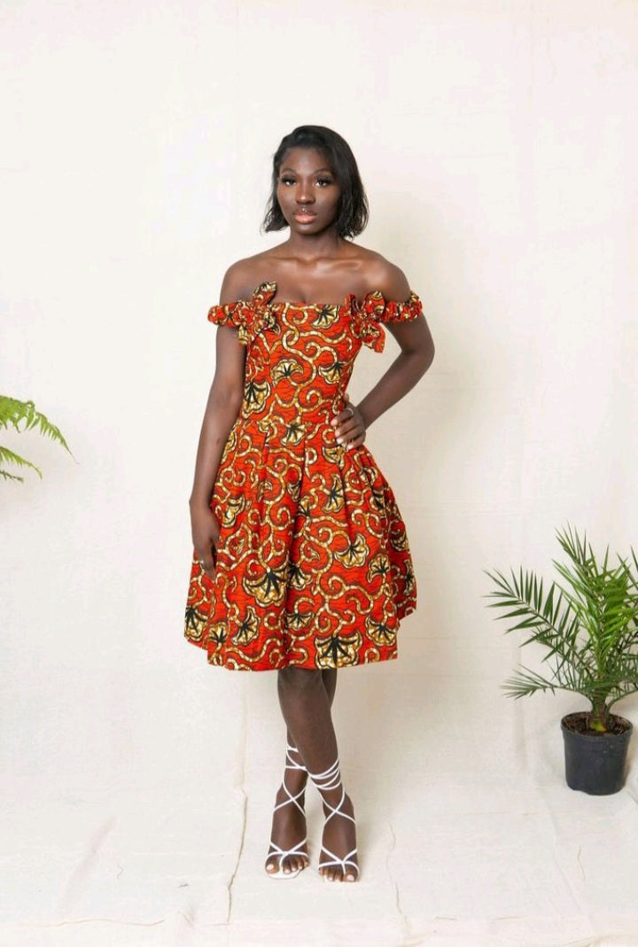 Imami Midi African Print Dress